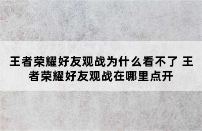 王者荣耀好友观战为什么看不了 王者荣耀好友观战在哪里点开